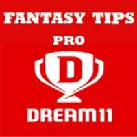 Fantasy Cricket - Dream 11 Tips