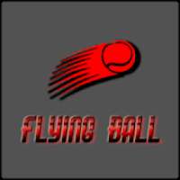 Flying Ball - Crazy Ball