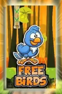 Free Bird Adventure Screen Shot 14