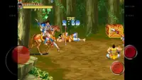 Arcade Classic : Warriors of Fate Screen Shot 2