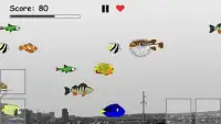 Hungry Fish Evolution Screen Shot 3