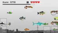 Hungry Fish Evolution Screen Shot 0