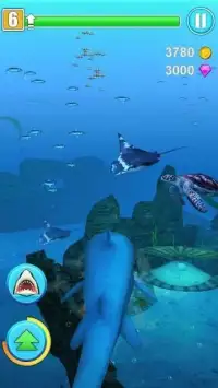 Shark Simulator Screen Shot 3