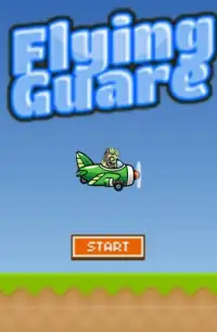 Flying Guare Screen Shot 0