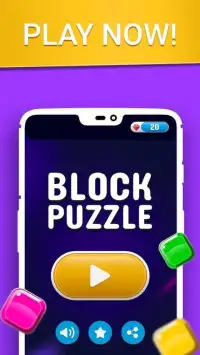 Block Puzzle Classic Pro: New Best Puzzle 2020 Screen Shot 5