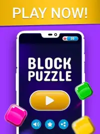 Block Puzzle Classic Pro: New Best Puzzle 2020 Screen Shot 0