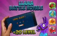Llama Battle Royale Screen Shot 1