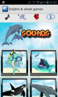 Dolphin Show Games For Free Screen Shot 6
