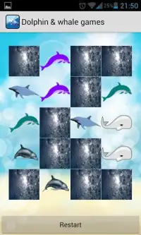 Dolphin Show Games For Free Screen Shot 2