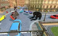 Angry Gorilla vs Wild Gorilla:Real Transformation Screen Shot 2