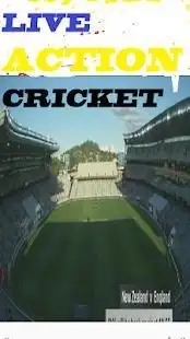 Live Action Cricket Screen Shot 0