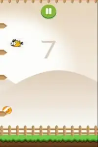 Bird Game 2 - No toques los picos Screen Shot 4