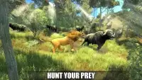 The Lion Simulator 3D: Forest Life of Lion Games Screen Shot 4