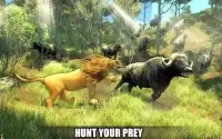 The Lion Simulator 3D: Forest Life of Lion Games Screen Shot 9