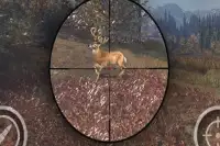 Animal Sniper Expert Hunting 3D Screen Shot 0