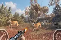 Animal Sniper Expert Hunting 3D Screen Shot 2