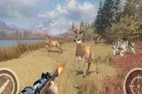 Animal Sniper Expert Hunting 3D Screen Shot 1