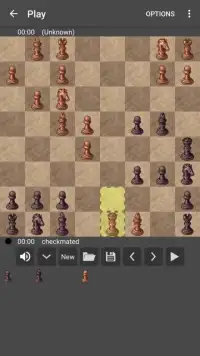Free Chess Online 2018 Screen Shot 5