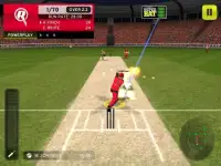 Big Bash Cricket Screen Shot 3