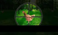 Chicken Shoot : 3D sniper Murgi Shooter Screen Shot 3