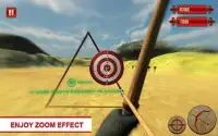 Archery King tournament 2018 Screen Shot 2