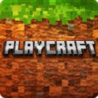 Play Craft - Exploration & Survival