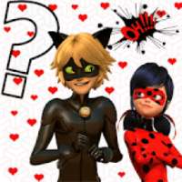 Ladybug und Cat Noir Ratespiel