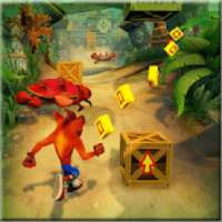 Guide to Run in Temple for Jungle Bandicoot