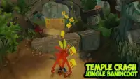 Guide to Run in Temple for Jungle Bandicoot Screen Shot 0