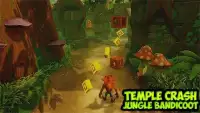 Guide to Run in Temple for Jungle Bandicoot Screen Shot 1
