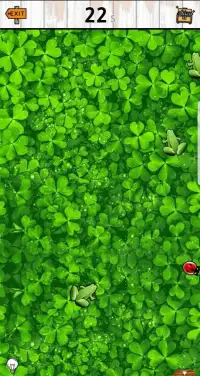 Find a 4leaf-Clover (Find Lucky, Present) (Free) Screen Shot 1