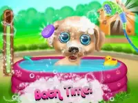 Puppy Pet salon - cute puppy daycare Screen Shot 3