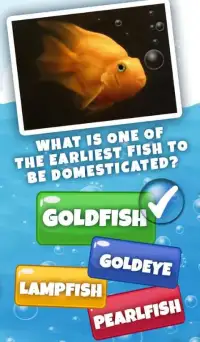 Guess The Fish Quiz Questions And Answers Game Screen Shot 0