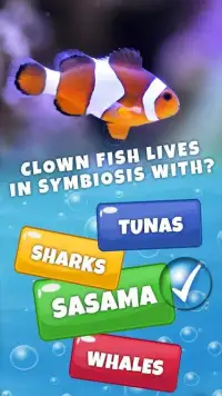 Guess The Fish Quiz Questions And Answers Game Screen Shot 5