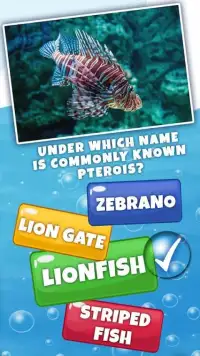 Guess The Fish Quiz Questions And Answers Game Screen Shot 3