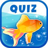 Guess The Fish Quiz Questions And Answers Game