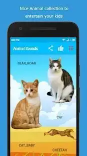 Animal Sounds - Natural Animal Sound with Picture Screen Shot 4