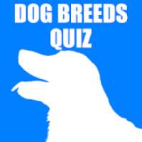Dog Breeds Quiz