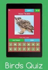 Birds Quiz : Guess The Birds Screen Shot 9