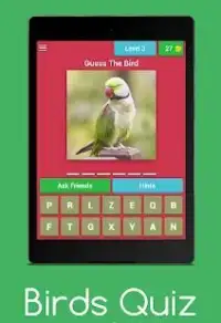 Birds Quiz : Guess The Birds Screen Shot 8