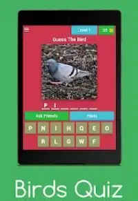 Birds Quiz : Guess The Birds Screen Shot 5