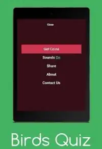 Birds Quiz : Guess The Birds Screen Shot 6