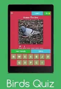 Birds Quiz : Guess The Birds Screen Shot 11