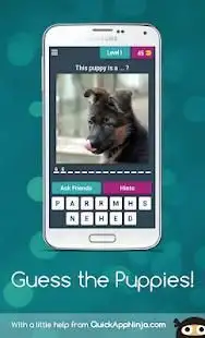Guess the Puppies! Screen Shot 20