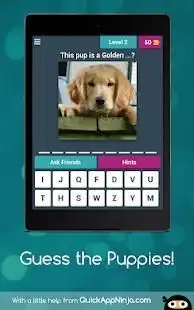 Guess the Puppies! Screen Shot 4