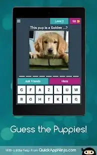 Guess the Puppies! Screen Shot 11