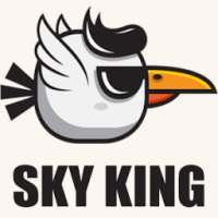 Sky King