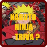 Naruto Ninja Trivia