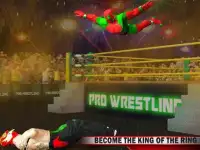 Pro Wrestling Stars - Fight as a super legend Screen Shot 0