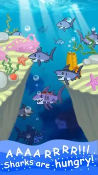 Angry Shark Evolution - Idle Cute Clicker Tap Game Screen Shot 5